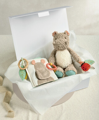 Babyplay Hippo & Book -2 Piece Gift Set